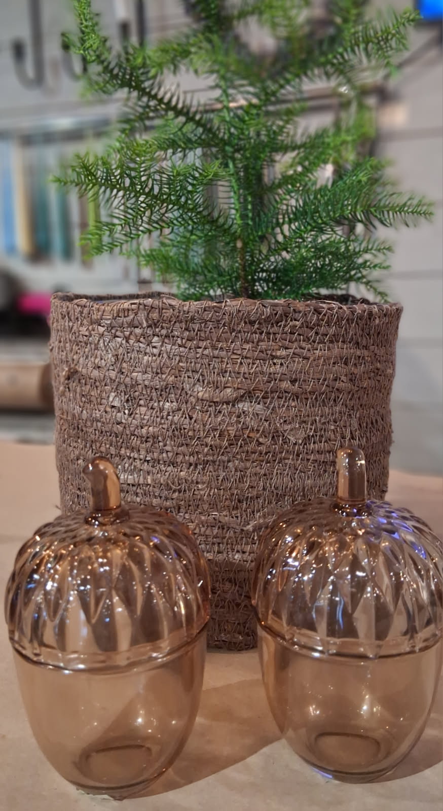 glas-skål med lock "Ekollon"