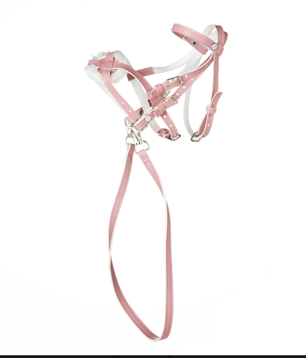 träns till käpphäst